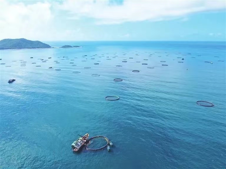 再攀新高！三亞農(nóng)投海洋產(chǎn)業(yè)有限公司成功入選海南省專精特新企業(yè)