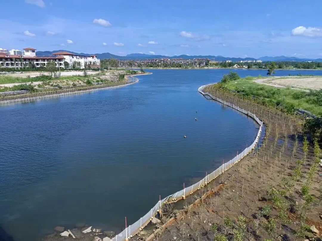 三亞環(huán)農(nóng)集團(tuán)：加力提速抓項目 全力以赴拼經(jīng)濟